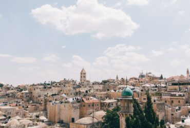 brown concrete mosquie