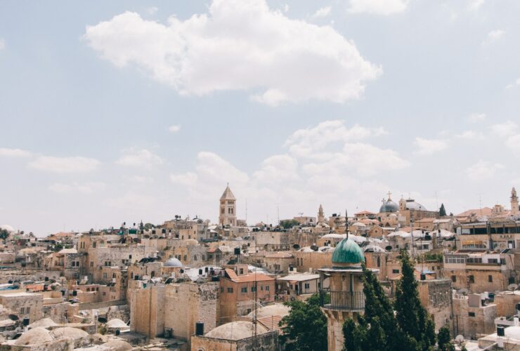 brown concrete mosquie