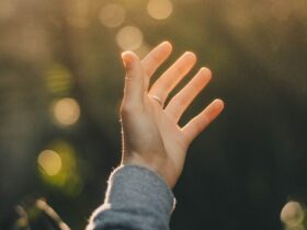 shallow focus photography of person raising hand