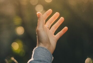 shallow focus photography of person raising hand