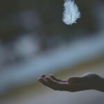 shallow focus photography of white feather dropping in person's hand