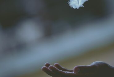 shallow focus photography of white feather dropping in person's hand