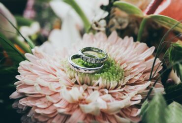 close up photography of silver-colored wedding rings on pink gerbera daisy flower