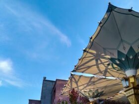 white and brown patio umbrella