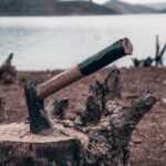 brown wood log on shore during daytime