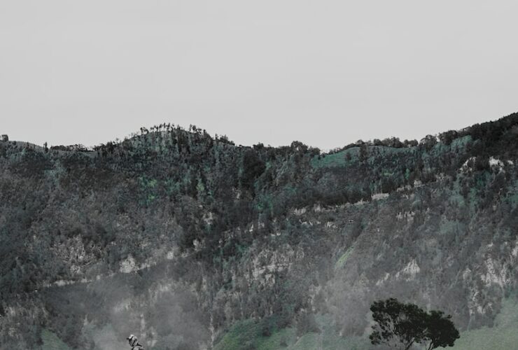 person riding on horse during daytime