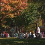 people sitting on green grass field surrounded by trees during daytime