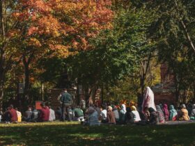 people sitting on green grass field surrounded by trees during daytime