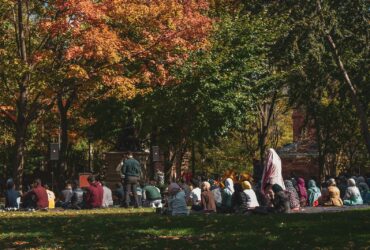 people sitting on green grass field surrounded by trees during daytime