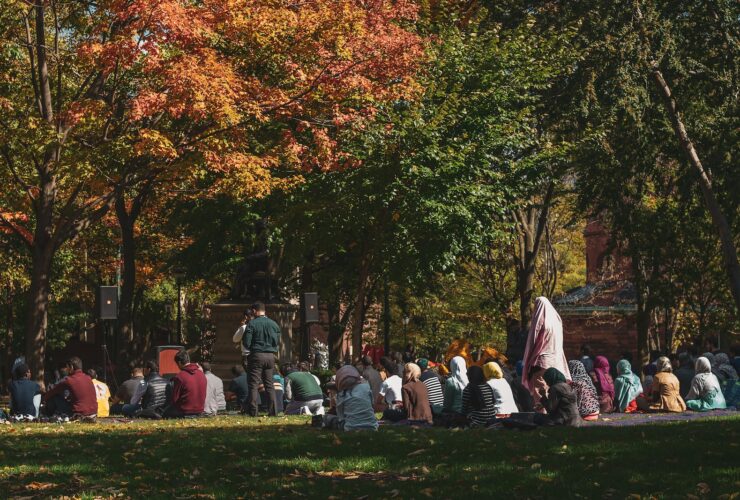 people sitting on green grass field surrounded by trees during daytime