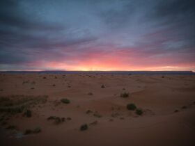 view of sand dunes during golden hour