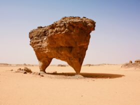 brown rock formation on brown sand during daytime