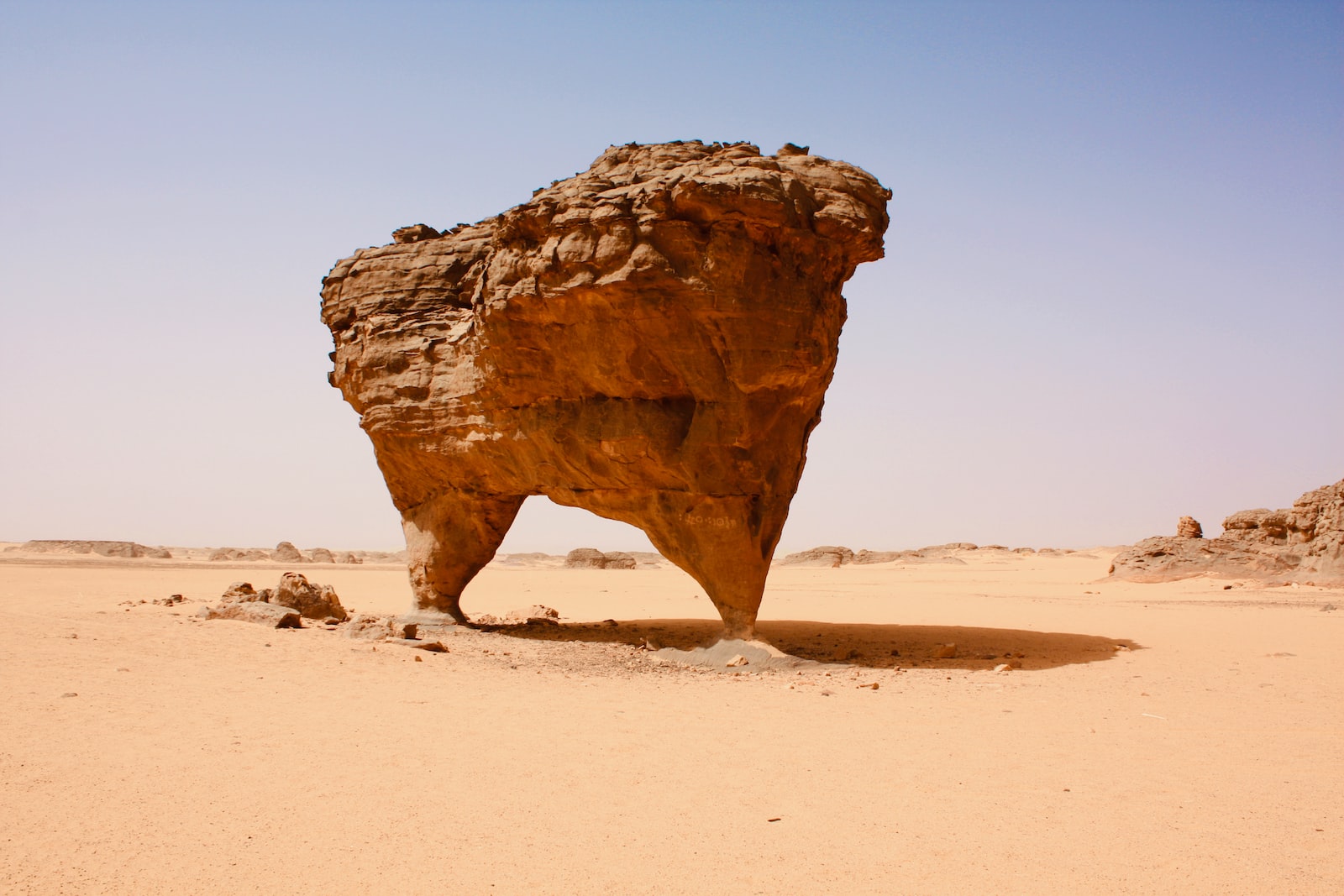 brown rock formation on brown sand during daytime