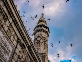 low angle photography of flock of birds flying over the building during daytime