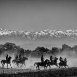 grayscale photo of horses on grass field