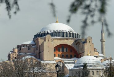 brown and white dome building