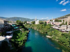 body of water between green trees and buildings under blue sky during daytime