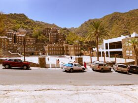 cars parked on side of the road near buildings during daytime