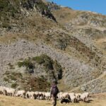 people on green grass covered mountain during daytime