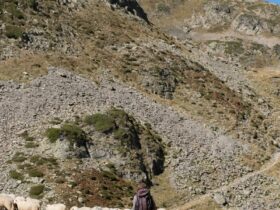 people on green grass covered mountain during daytime
