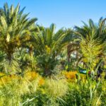 green palm tree under blue sky during daytime