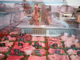 raw meat in clear plastic container