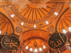 brown and black concrete building