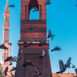 flock of pigeon photograph