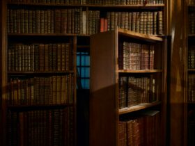 opened secret door inside library