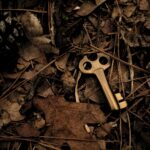 skeleton key surround with dry leaves