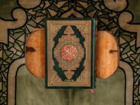 black and brown book on gray textile