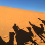 silhouette of four person riding camel on desert during daytime