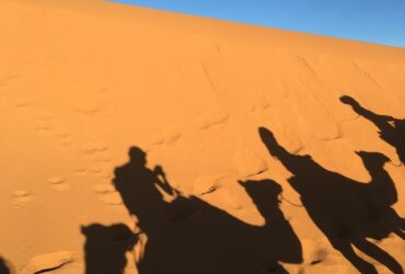 silhouette of four person riding camel on desert during daytime