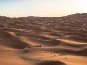 six persons riding camels on desert
