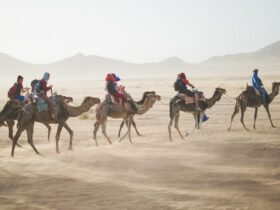 group of people riding camel on sand dune