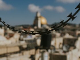 selective focus photography of black barbwire