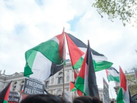 people walking on street with flags during daytime