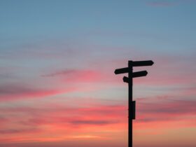 silhouette of road signage during golden hour