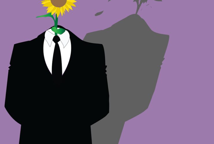 man, sunflower, malicious