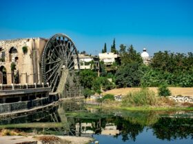 brown and gray concrete building near body of water during daytime