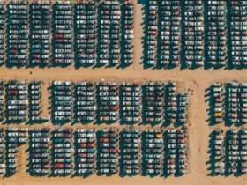 black and red plastic bottles on brown wooden wall