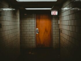 shallow focus photo of brown wooden door