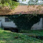 an old building with vines growing on it