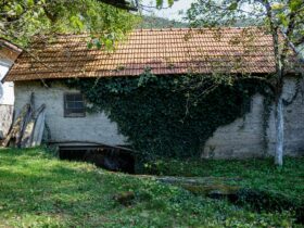 an old building with vines growing on it