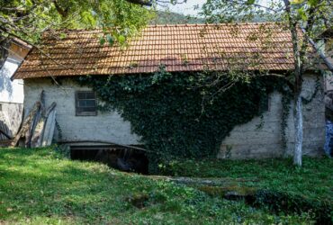 an old building with vines growing on it