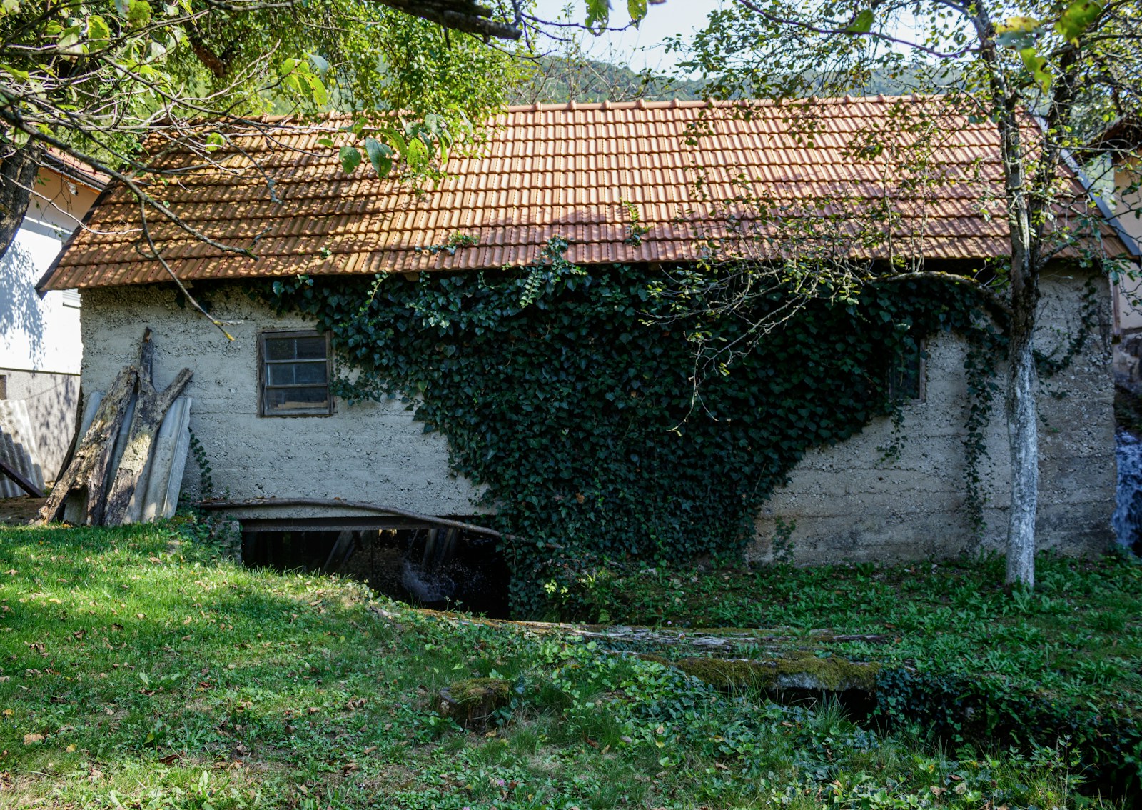 an old building with vines growing on it