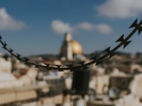 selective focus photography of black barbwire