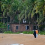 A person walking on a beach with palm trees in the background