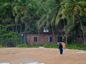 A person walking on a beach with palm trees in the background