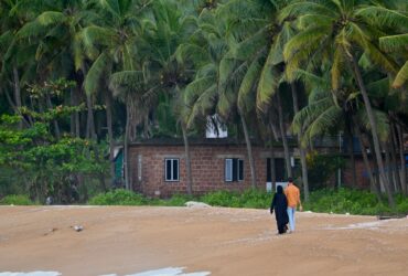 A person walking on a beach with palm trees in the background